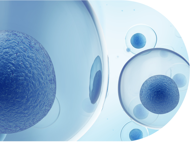 Success the First Time